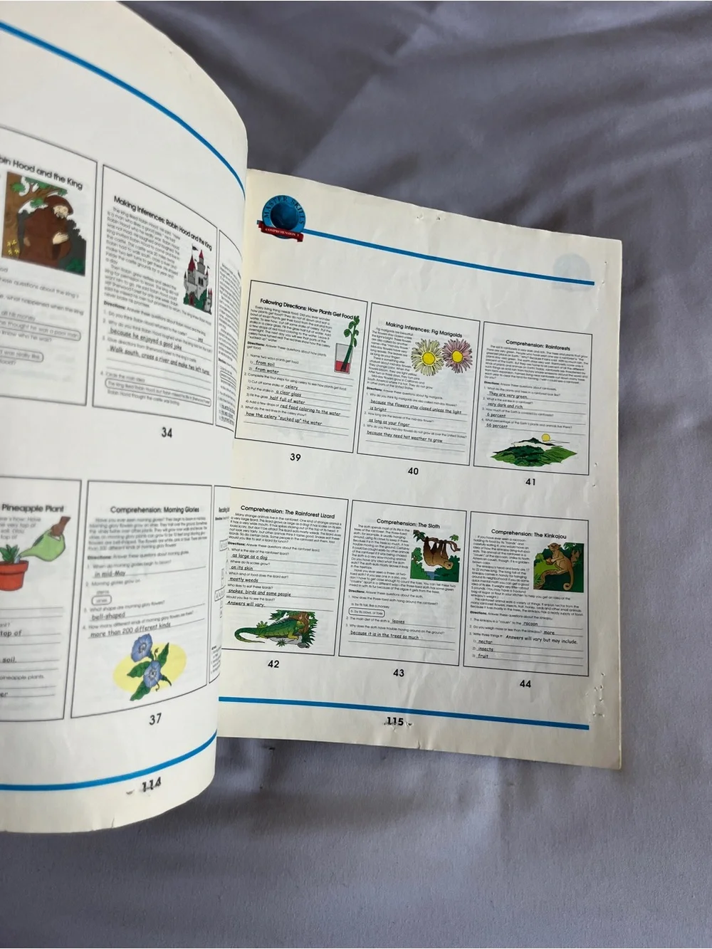 Master Skills Reading Comprehension Grade 3 Workbook ISBN 156189043X